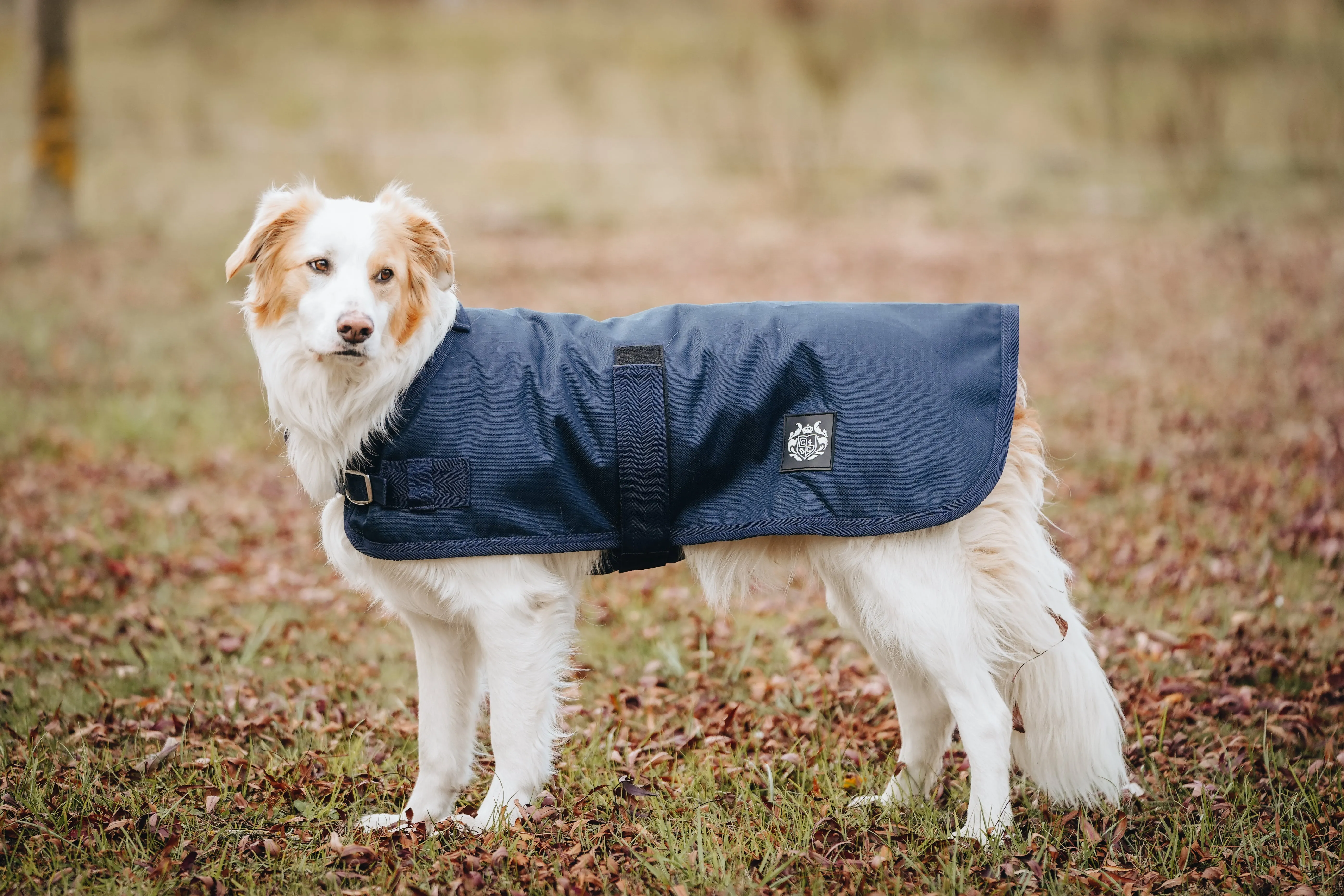 1200D 50g Dog Coats - 2022 Stock Clearance