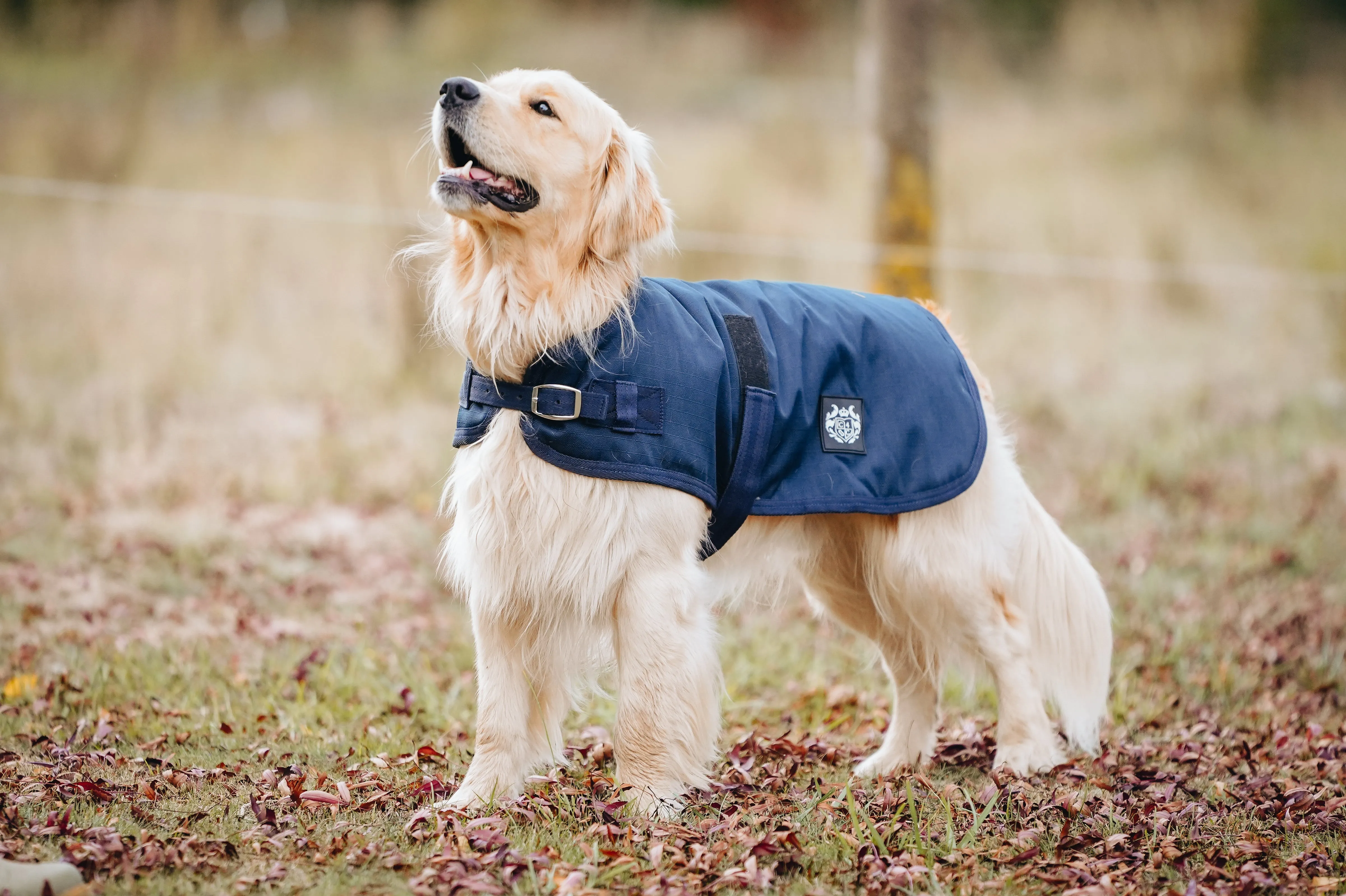 1200D 50g Dog Coats - 2022 Stock Clearance