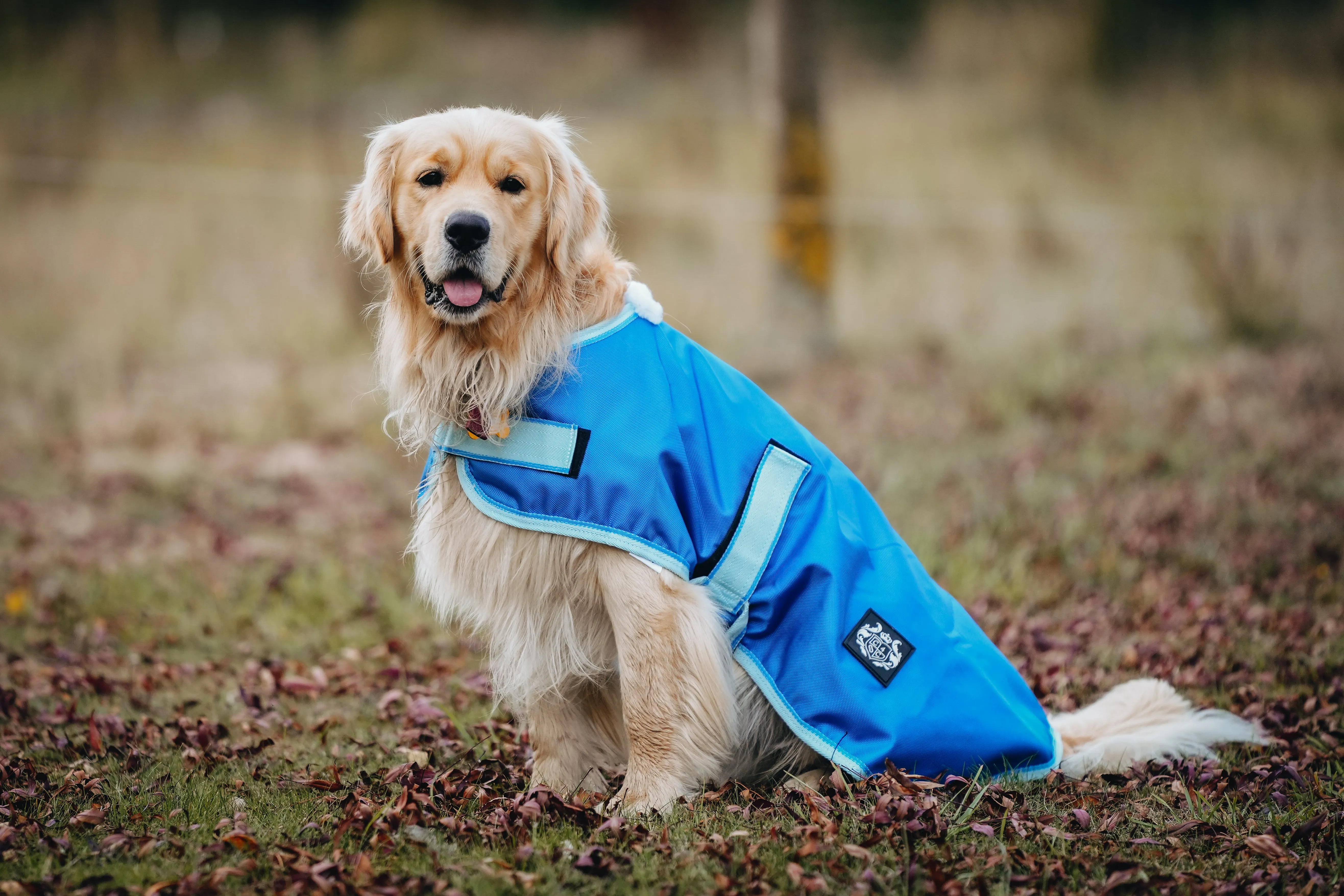 1200D 50g Dog Coats - 2022 Stock Clearance