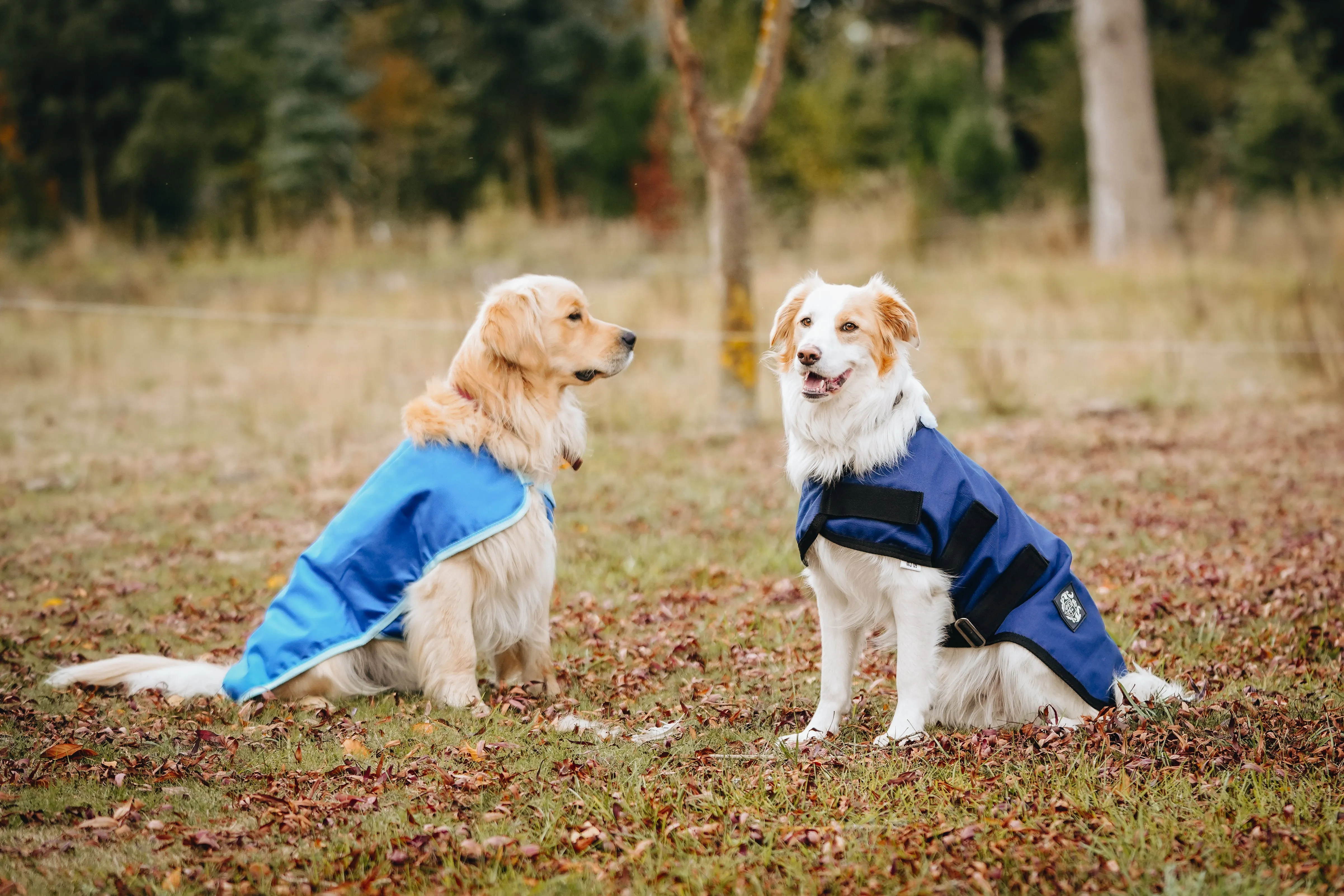 1200D 50g Dog Coats - 2022 Stock Clearance