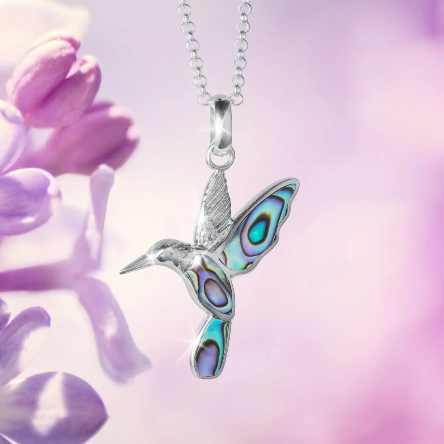 Abalone Hummingbird Collection