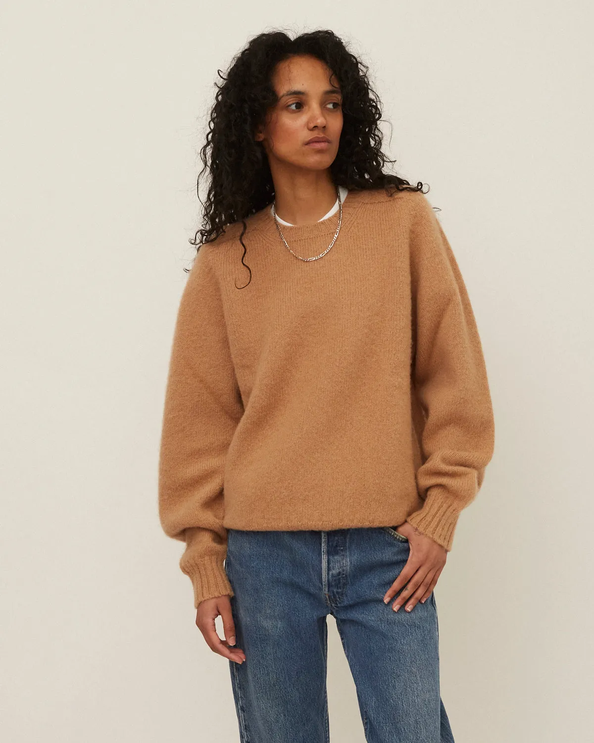 Brushed Shetland Sweater Crew Neck / Beige