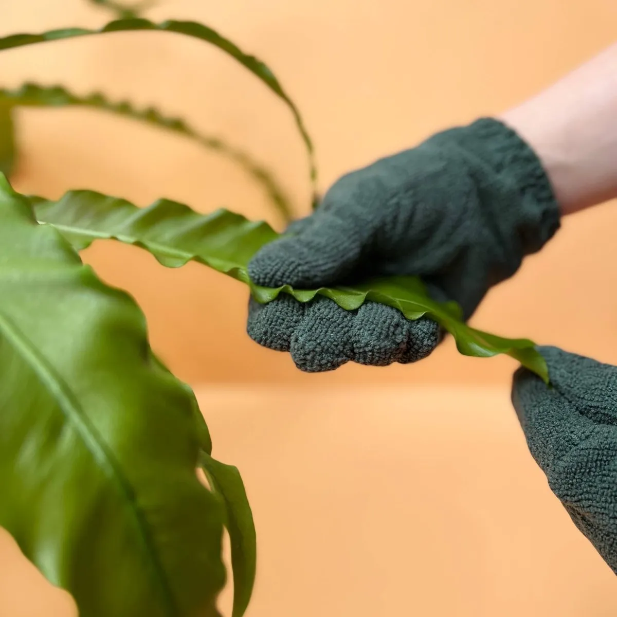 Plant Cleaning Gloves - Reusable Microfiber Leaf Care Gloves