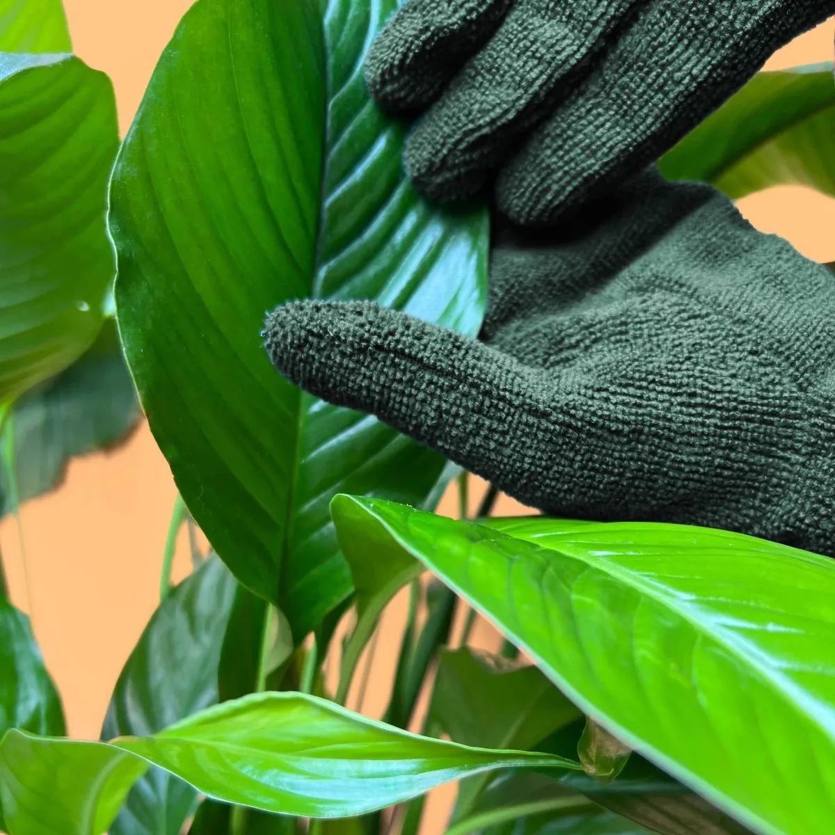 Plant Cleaning Gloves - Reusable Microfiber Leaf Care Gloves