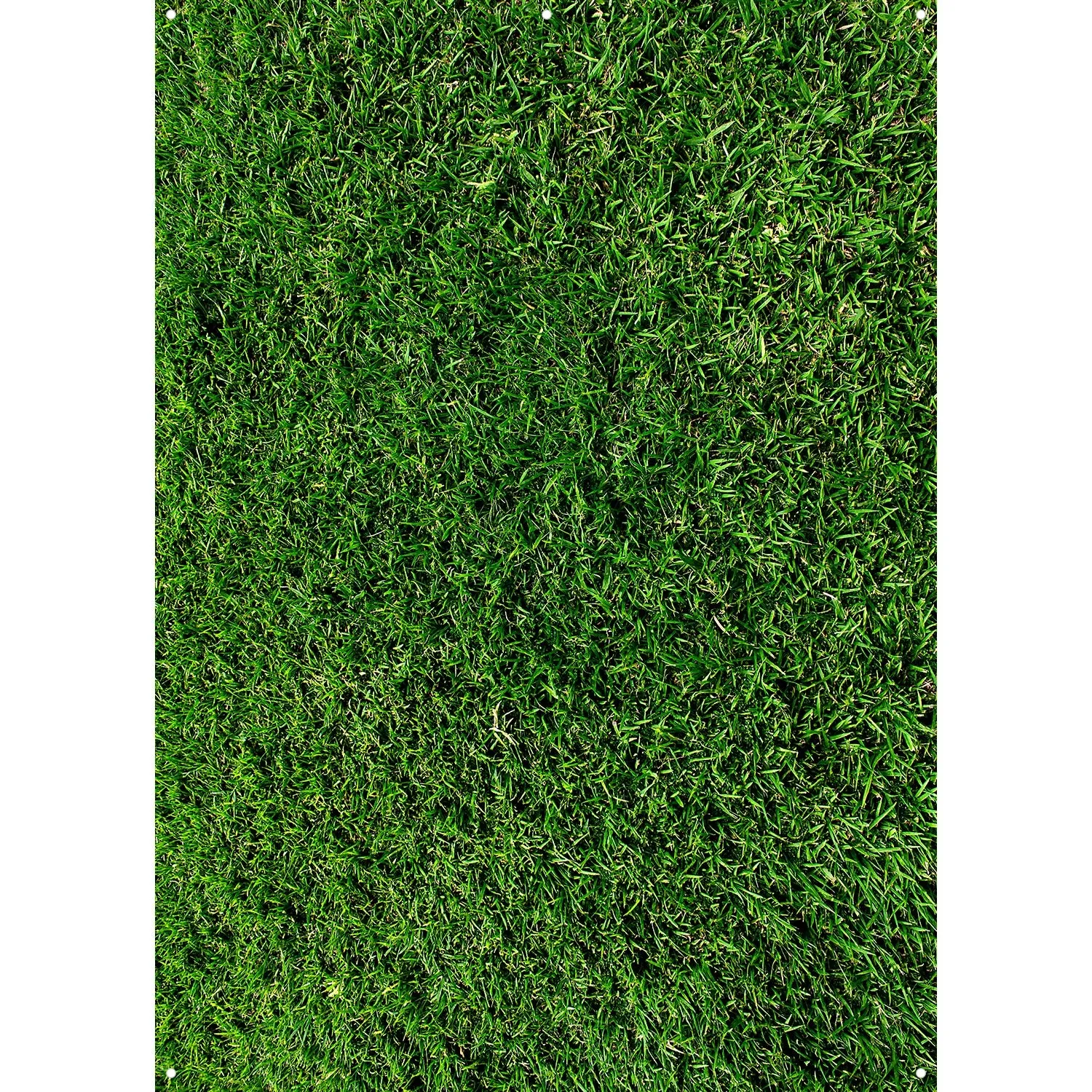 X-Drop Vinyl Backdrop - Green Grass (5' x 7')